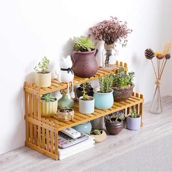2 tier bamboo plant stand with favourite small potted plants on display shelf
