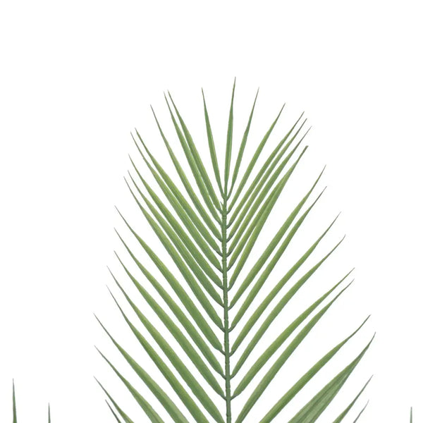 Artificial areca palm 80cm with beautiful palm leaves on white background