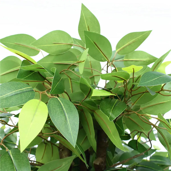 Artificial deluxe ficus tree 145cm: close up of green plant leaves