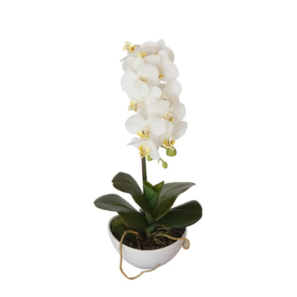 Artificial butterfly orchid 46cm - white in white pot
