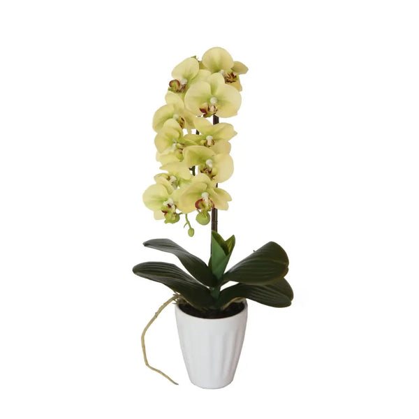 Artificial butterfly orchid cream 40cm in white pot