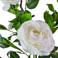 White rose flower isolated on white background, part of artificial camellia tree
