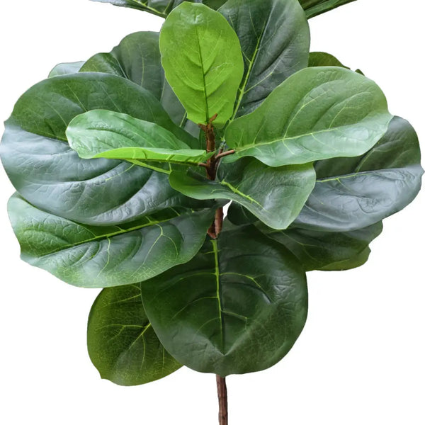 Artificial fiddle leaf fig plant with leaves, 170cm