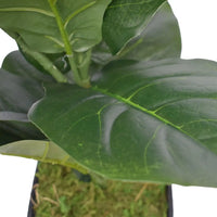 Artificial fiddle leaf fig tree 70cm in pot with green leaves