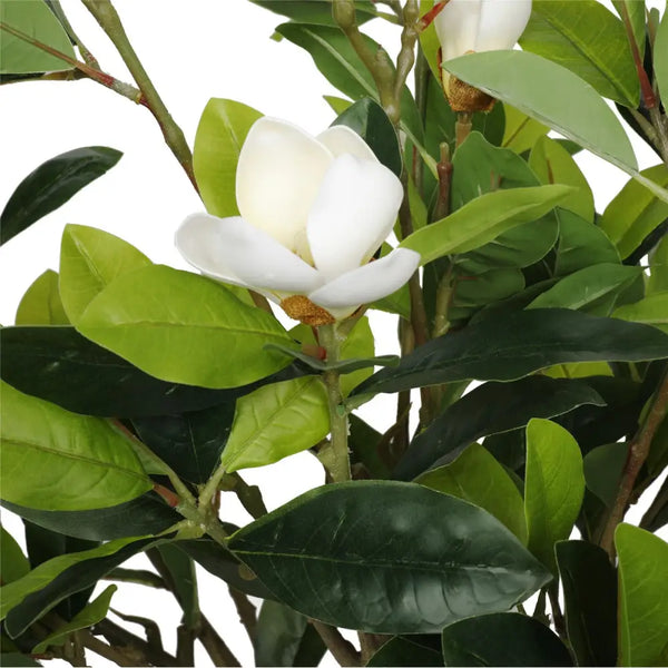 Artificial flowering magnolia tree with white flowers in pot, 130cm