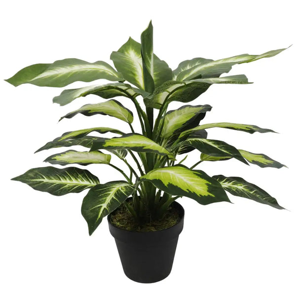 Artificial leopard lily plant in pot 40cm - green leaves