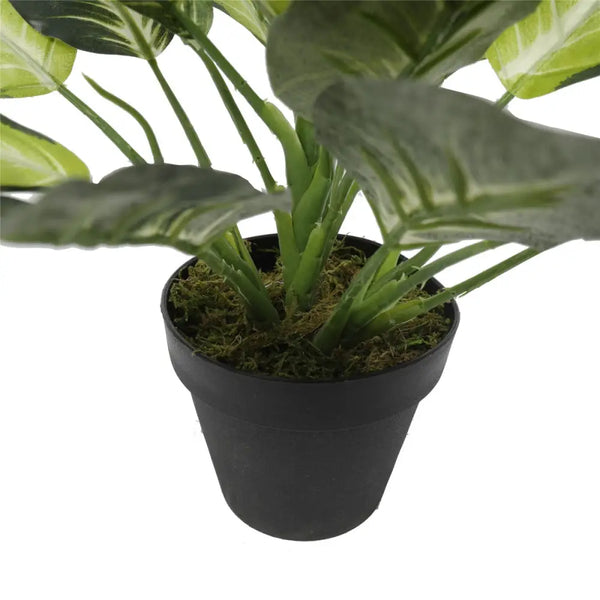 Artificial leopard lily plant in pot 40cm - green leaves
