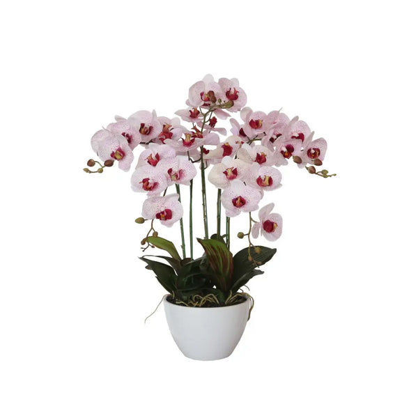 Stunning multi-stem artificial pink orchid in white pot, butterfly orchid 66cm