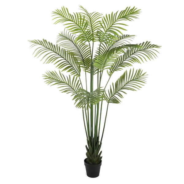 Artificial multi stem hawaii palm 190cm in black pot on white background