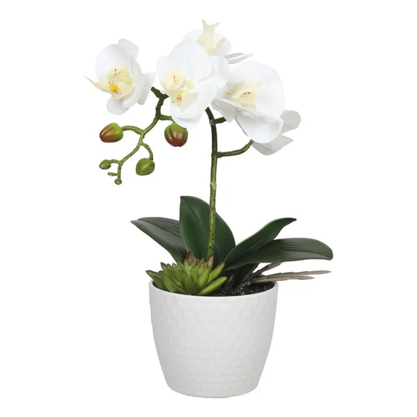 Artificial white phalaenopsis orchid in decorative pot
