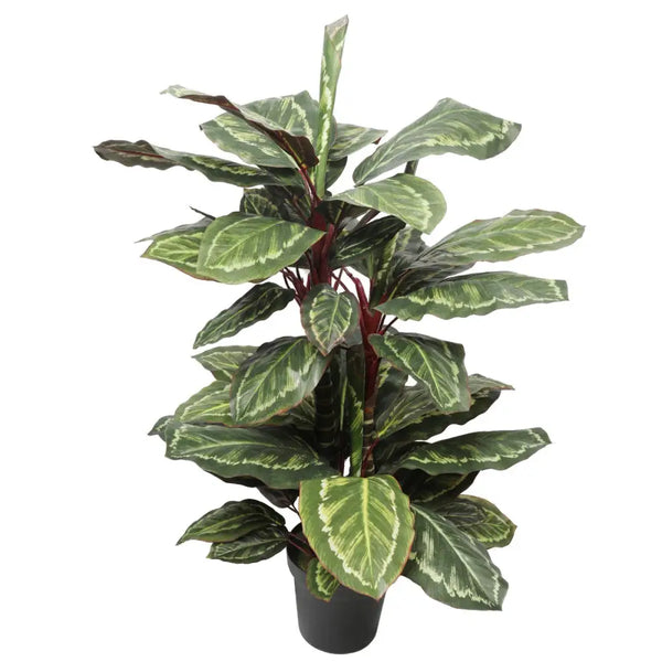 Artificial cordyline plant in standard black pot, 90cm - green wide leaf display