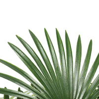 Artificial wide leaf fan palm tree with water droplets