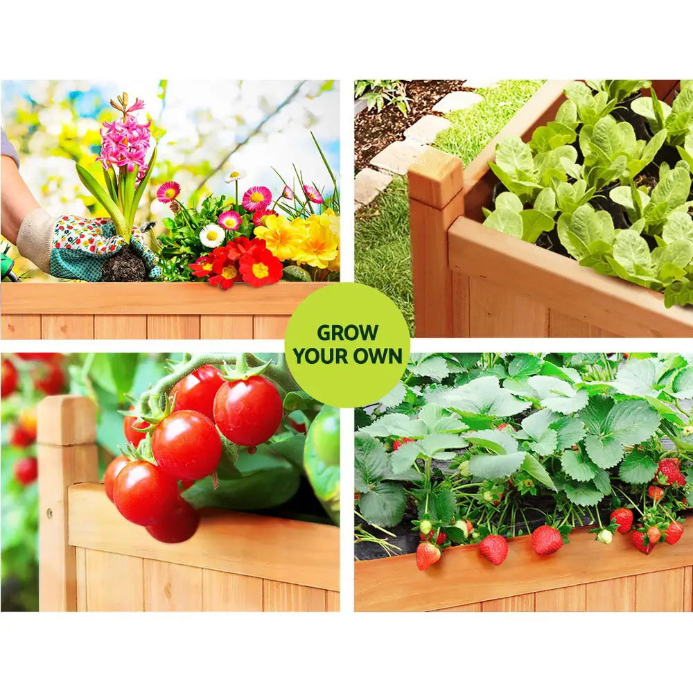 Four different types of vegetables displayed in a wooden planter box
