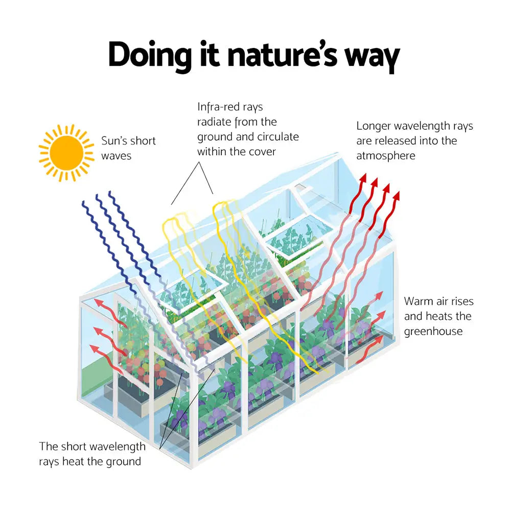 Diagram of greenfingers aluminium greenhouse showing plant parts; grow plants and bear fruit beautifully