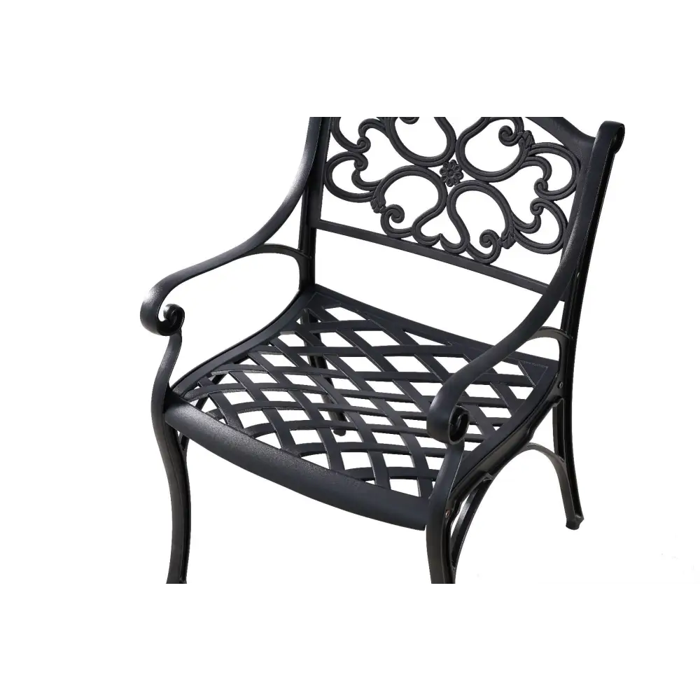 Marco cast aluminium lattice chair x 2 in black metal