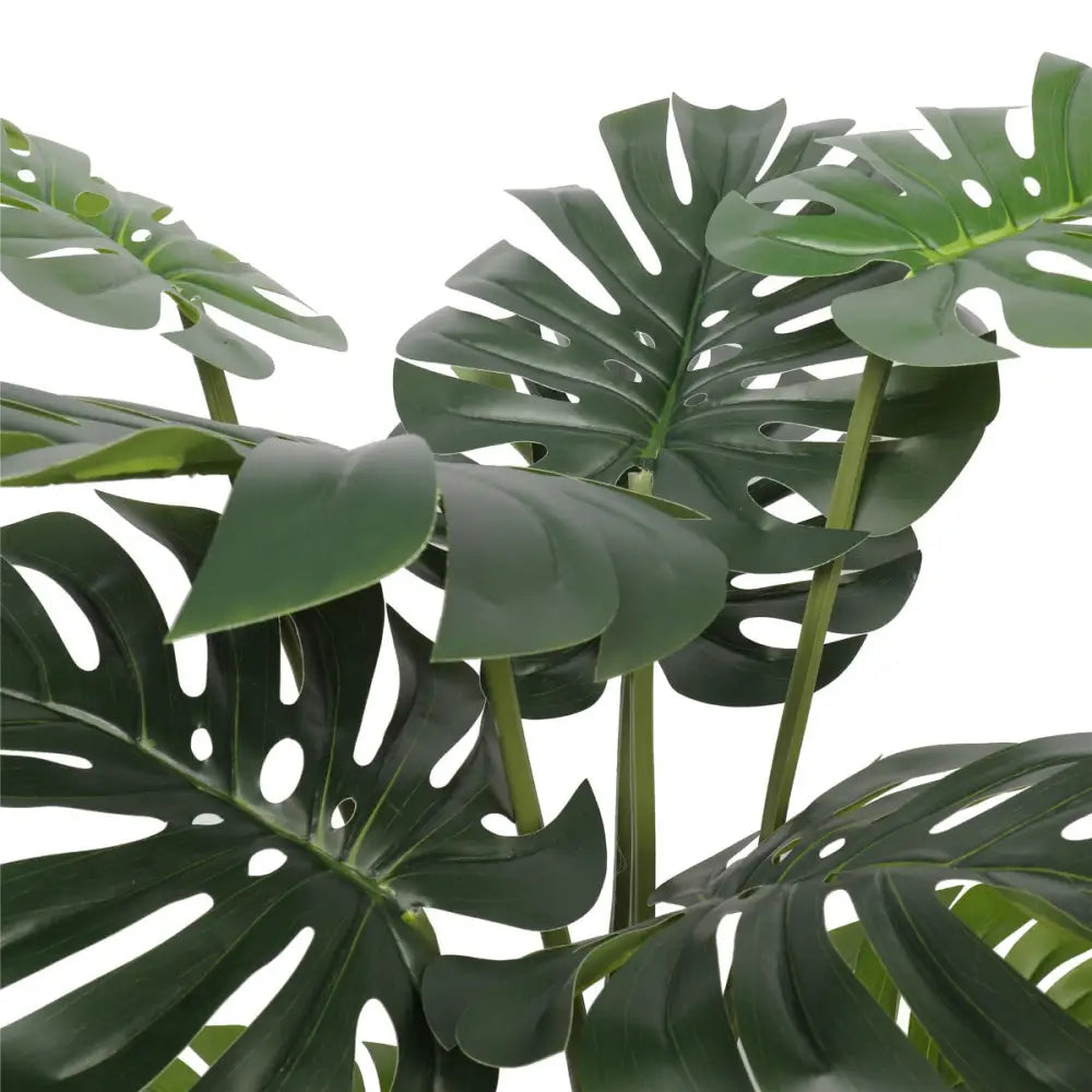 Faux split-leaf philodendron plant with green leaves on white background